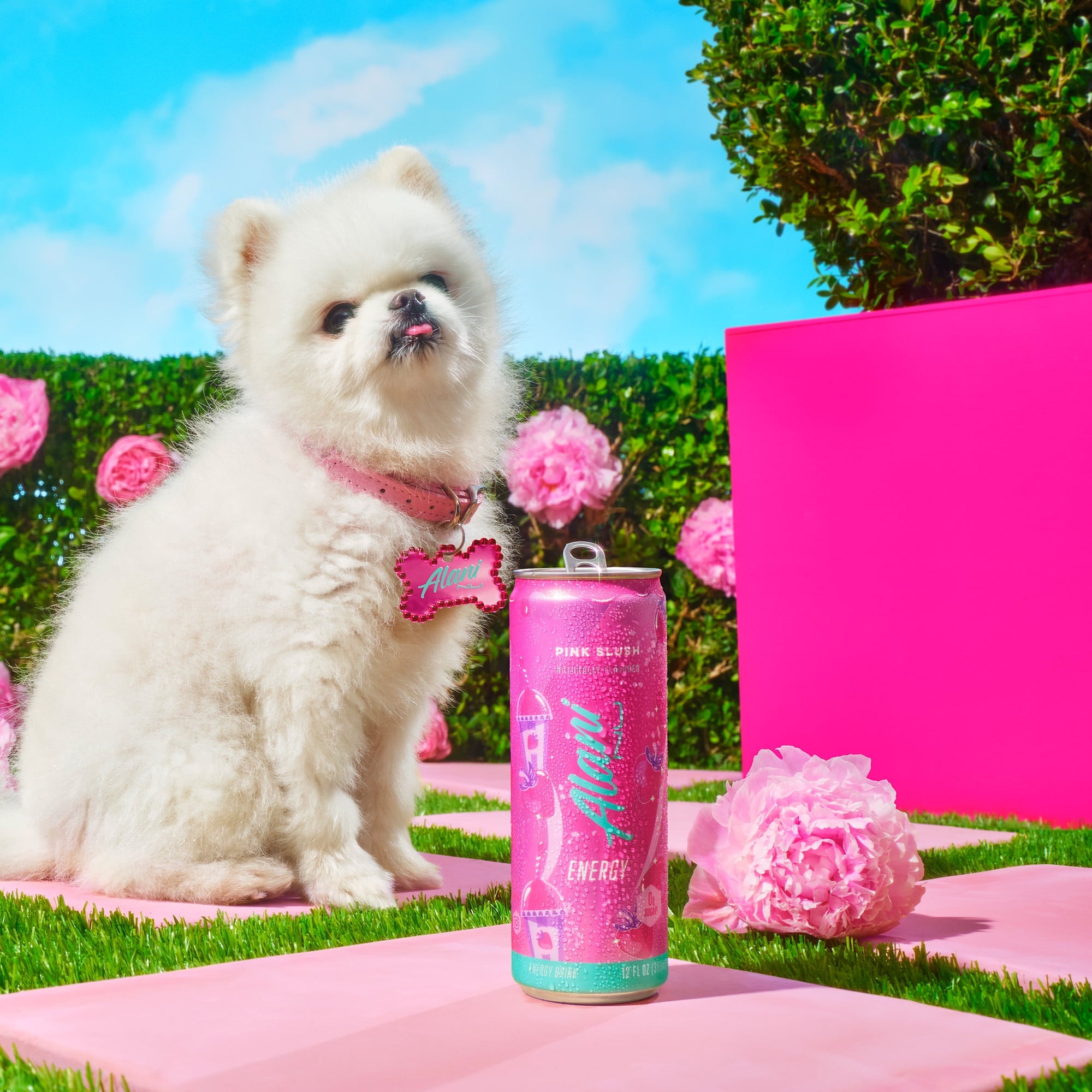 Pink Slush, 12 fl oz, Single Can